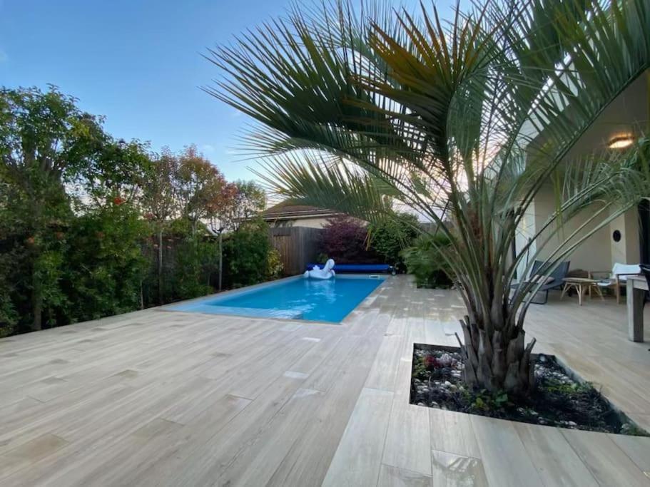 Maison D Architecte Bruges/Piscine Chauffee/Tram D Ngoại thất bức ảnh